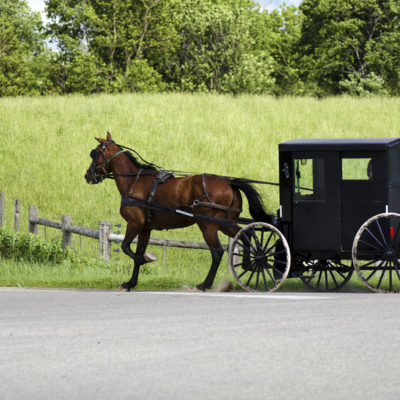 Amish (mennonite) people riding their buggy on modern road