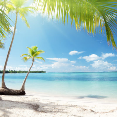 Caribbean sea and coconut palms