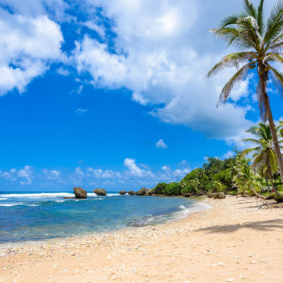 Rock formation on the beach of Bathsheba, East coast of  island Barbados, Caribbean Islands - travel destination for vacation