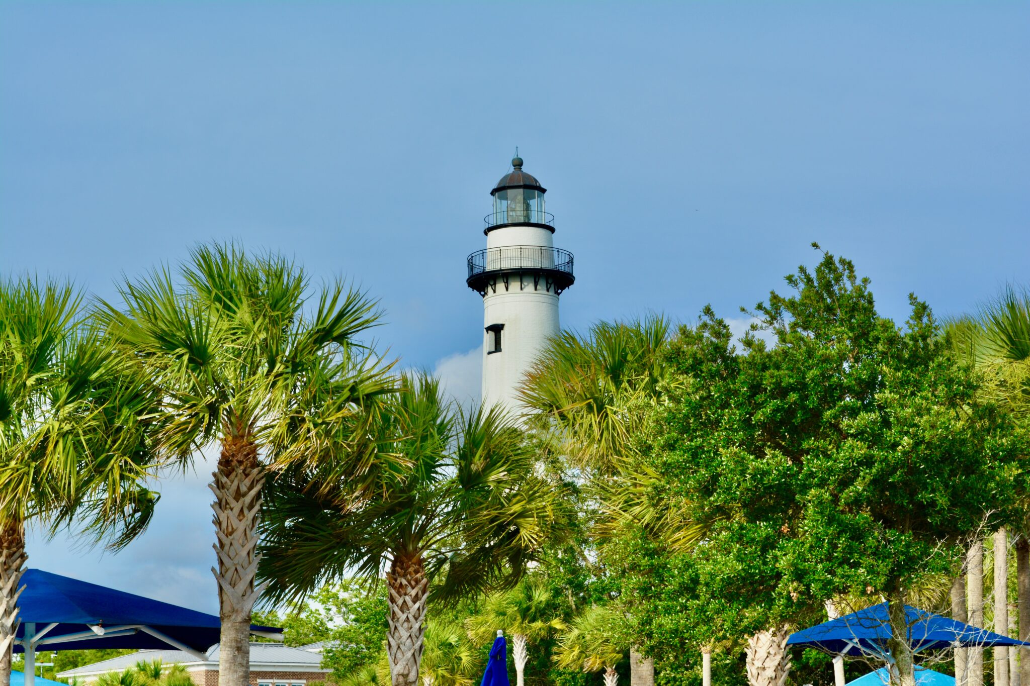 St. Simons Island lighthouse rising above palm trees