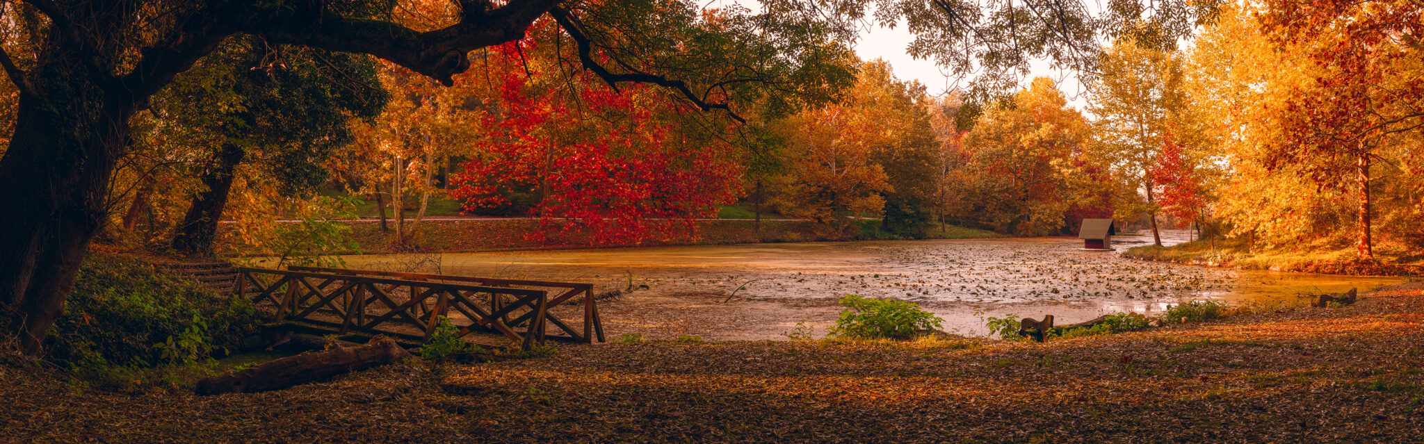 Panoramic Vermont fall foliage landscape