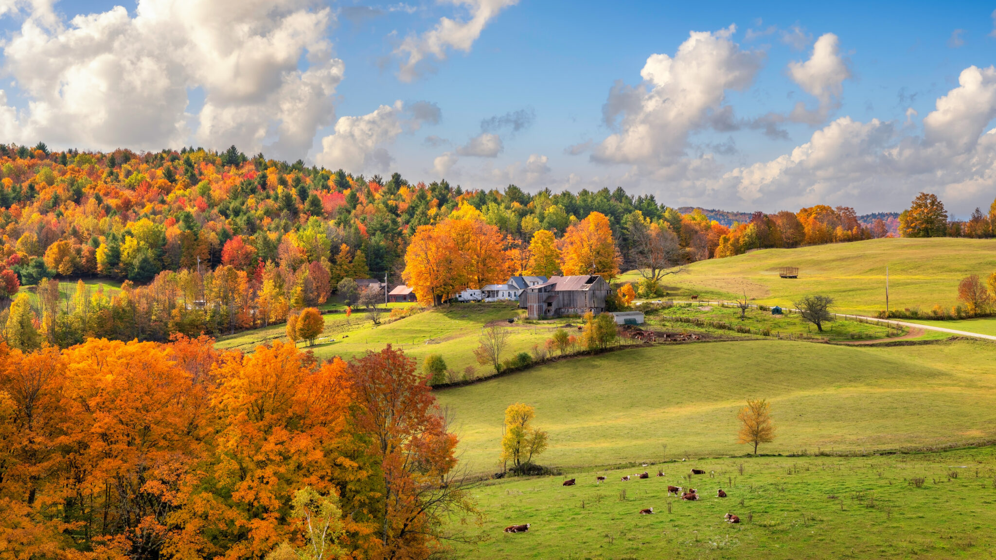 Rolling Vermont countryside and farm surrounded by brilliant fall foliage