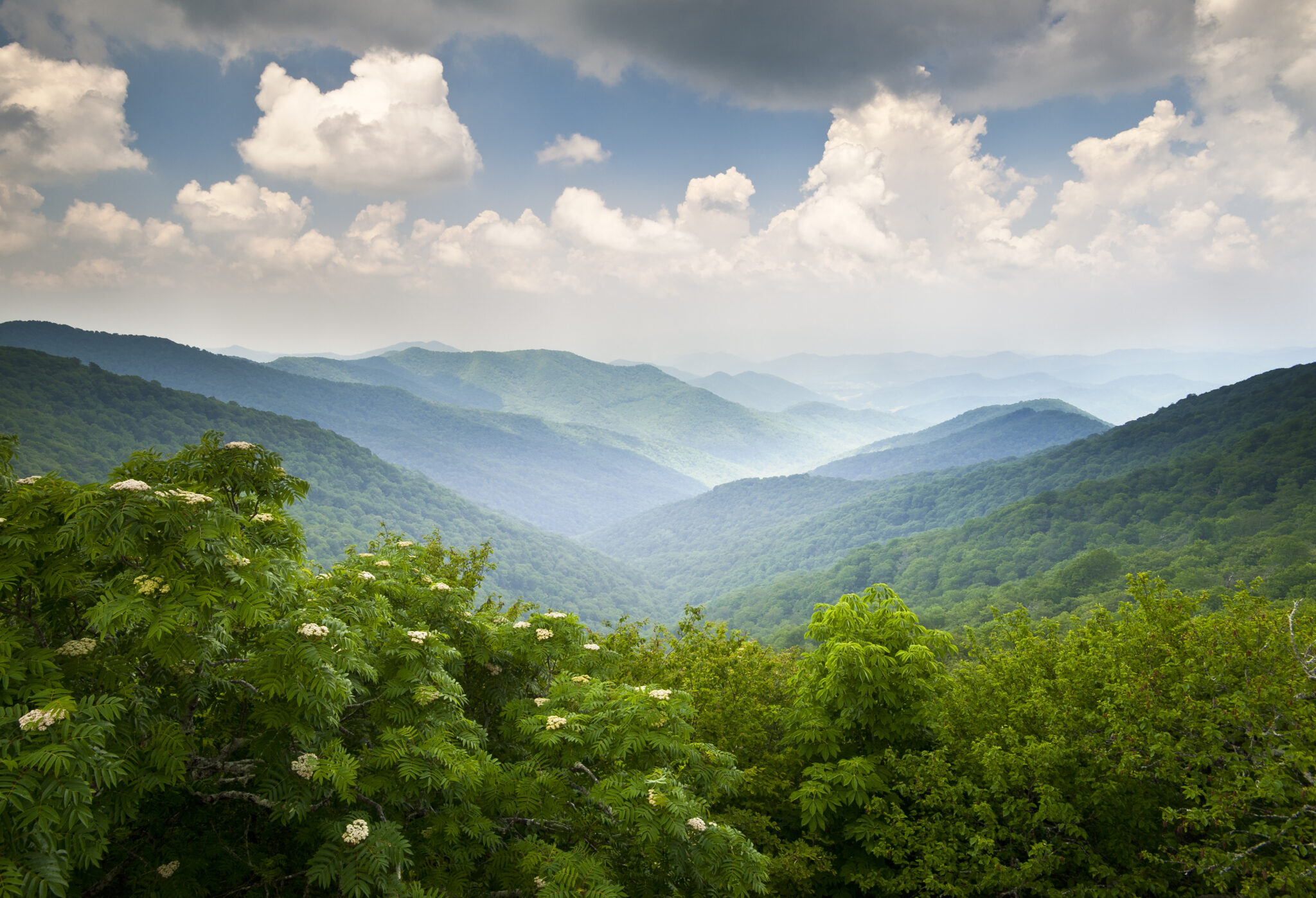 Asheville skyline and the Blue Ridge Mountains